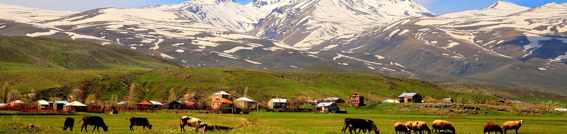 بنر-ارمنستان