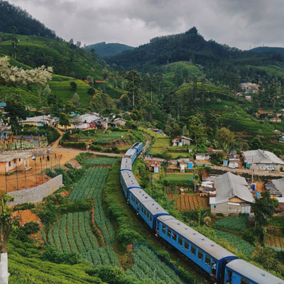 نوارا الیا (Nuwara Eliya)