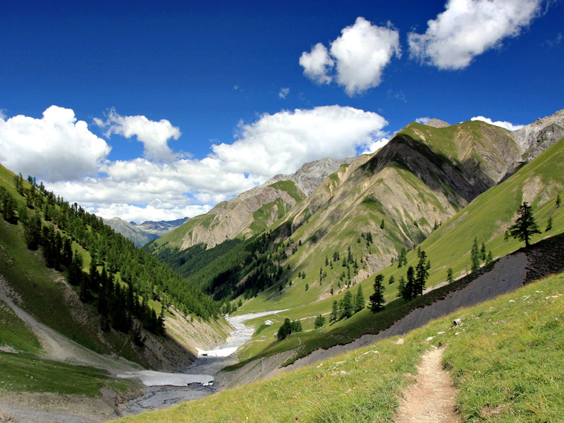 آشنایی با پارک ملی سوئیس