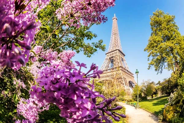 France-Spain tour 7 nights and 8 days